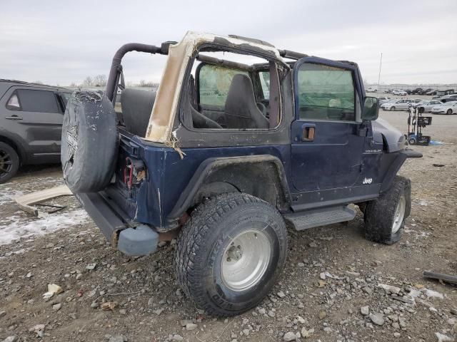 2002 Jeep Wrangler / TJ X