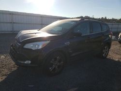 Vehiculos salvage en venta de Copart Fredericksburg, VA: 2015 Ford Escape SE