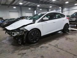 Salvage cars for sale from Copart Ham Lake, MN: 2012 Ford Focus SE