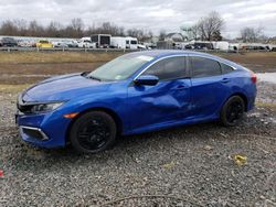 Honda Civic lx salvage cars for sale: 2020 Honda Civic LX