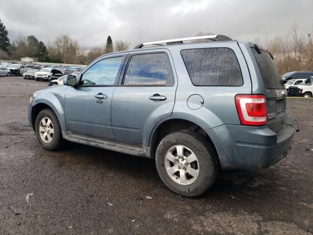 2010 Ford Escape Limited