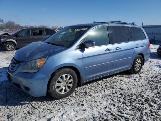 2008 Honda Odyssey EXL