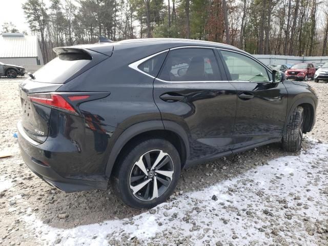 2019 Lexus NX 300 Base