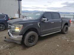 Salvage cars for sale at Helena, MT auction: 2021 Ford F150 Supercrew