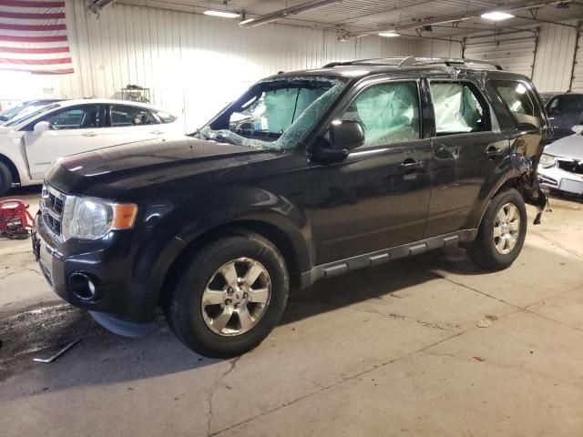 2011 Ford Escape Limited