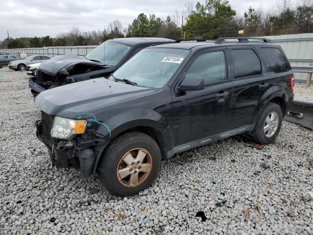 2011 Ford Escape XLT