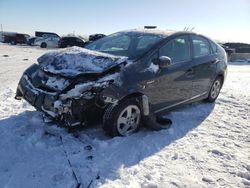 Toyota Prius salvage cars for sale: 2011 Toyota Prius