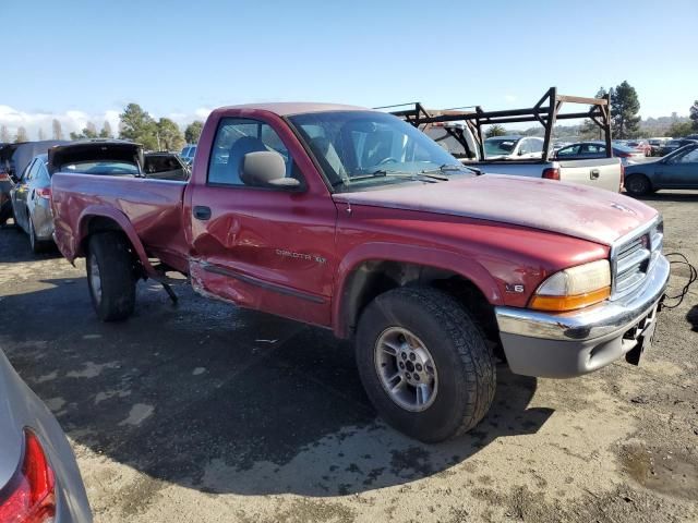 1999 Dodge Dakota