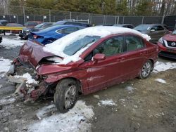 Salvage cars for sale from Copart Waldorf, MD: 2010 Honda Civic EX