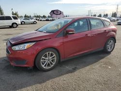 Salvage cars for sale from Copart Rancho Cucamonga, CA: 2016 Ford Focus SE