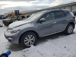 Nissan salvage cars for sale: 2014 Nissan Murano S