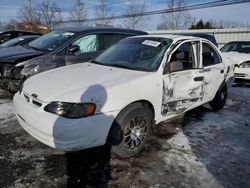 Salvage cars for sale at New Britain, CT auction: 1999 Toyota Corolla VE