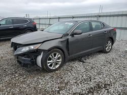 Salvage cars for sale at Columbus, OH auction: 2013 KIA Optima EX