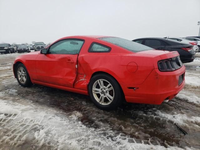 2014 Ford Mustang