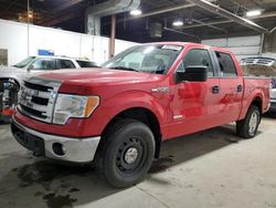 Ford salvage cars for sale: 2014 Ford F150 Supercrew