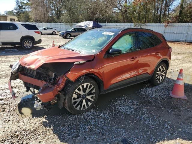 2020 Ford Escape SE Sport