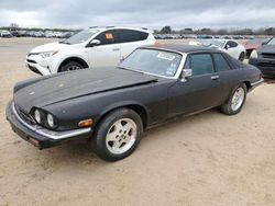 Salvage cars for sale from Copart San Antonio, TX: 1985 Jaguar XJS