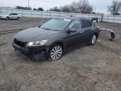 Salvage cars for sale from Copart Sacramento, CA: 2014 Honda Accord EXL