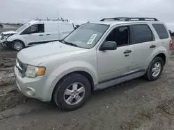 Salvage cars for sale from Copart Earlington, KY: 2009 Ford Escape XLT