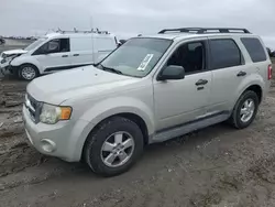 Ford salvage cars for sale: 2009 Ford Escape XLT