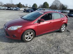 Ford Focus SE salvage cars for sale: 2014 Ford Focus SE