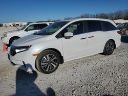 Salvage cars for sale at New Braunfels, TX auction: 2024 Honda Odyssey Touring