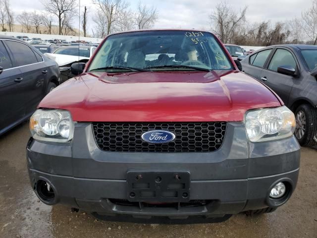 2007 Ford Escape XLT