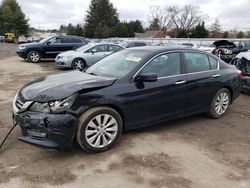 Honda Accord EXL salvage cars for sale: 2013 Honda Accord EXL