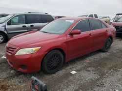 Toyota Camry salvage cars for sale: 2010 Toyota Camry Base