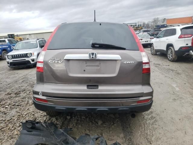 2011 Honda CR-V EXL