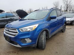 Salvage cars for sale at Bridgeton, MO auction: 2018 Ford Escape SE