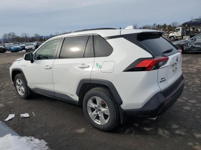 2019 Toyota Rav4 XLE