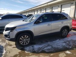 Salvage cars for sale at Louisville, KY auction: 2011 KIA Sorento Base