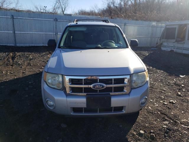 2008 Ford Escape XLT