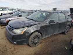 Ford Focus SES salvage cars for sale: 2010 Ford Focus SES