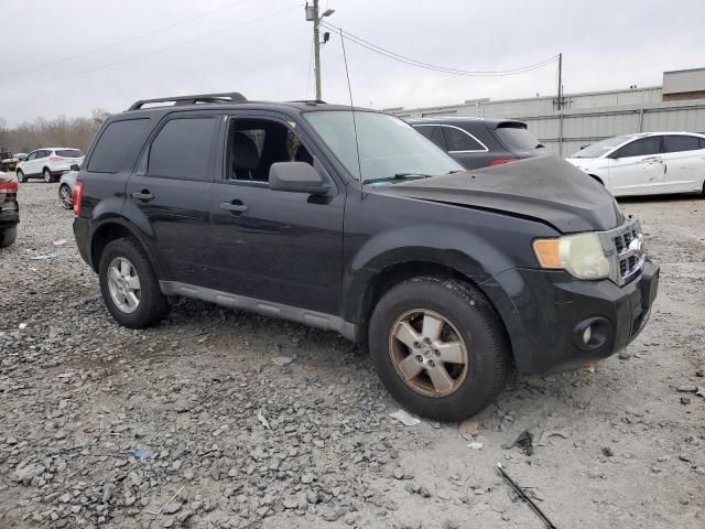 2010 Ford Escape XLT