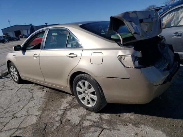 2009 Toyota Camry Hybrid