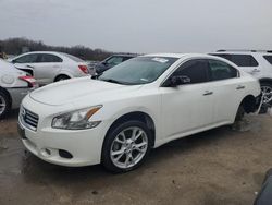 Nissan Maxima S Vehiculos salvage en venta: 2013 Nissan Maxima S