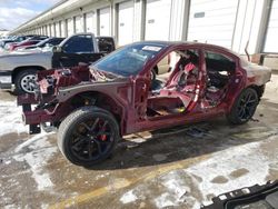 Salvage cars for sale at Louisville, KY auction: 2019 Dodge Charger Scat Pack