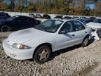 2001 Chevrolet Cavalier Base