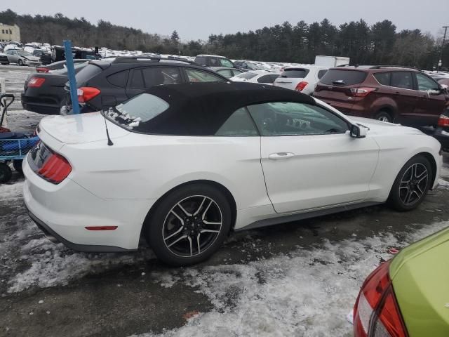 2019 Ford Mustang