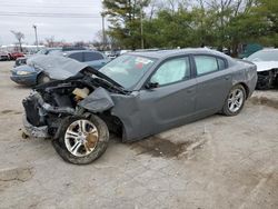 Dodge Charger sxt salvage cars for sale: 2019 Dodge Charger SXT