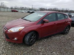 Ford Focus SE salvage cars for sale: 2013 Ford Focus SE