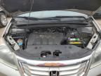 2008 Honda Odyssey EXL