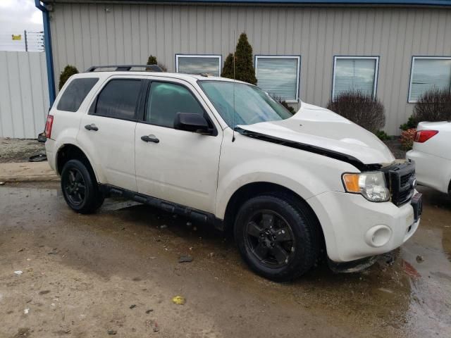 2012 Ford Escape XLT