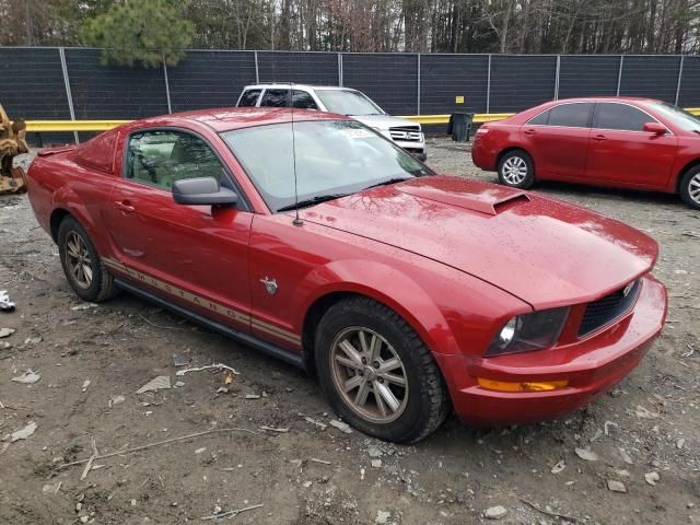 2009 Ford Mustang