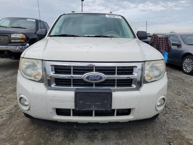 2010 Ford Escape XLT