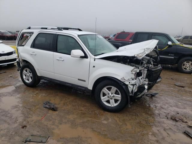 2008 Ford Escape HEV