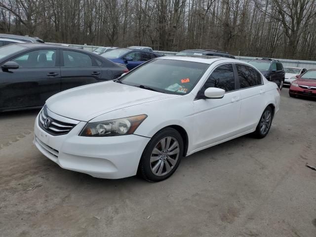 2011 Honda Accord EXL