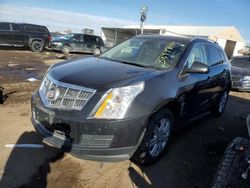Salvage cars for sale from Copart Brighton, CO: 2011 Cadillac SRX Luxury Collection